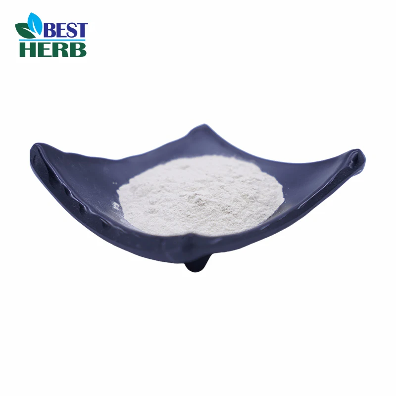 Garlic Extract Powder