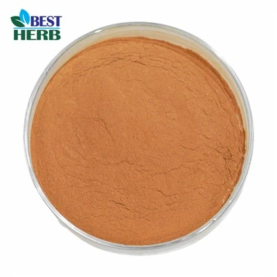 Ginkgo Biloba ömlesztett por